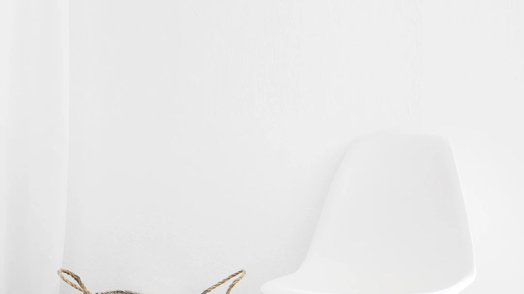 Essential Tools for Home Organization