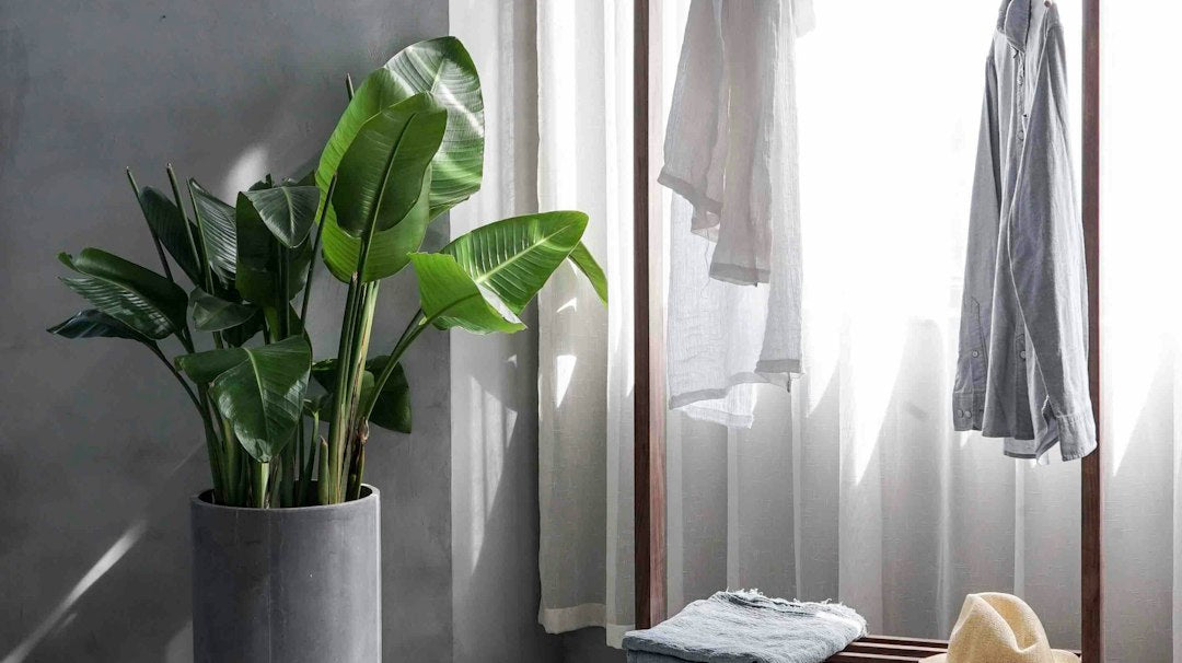 The Benefits of Decluttering Your Home