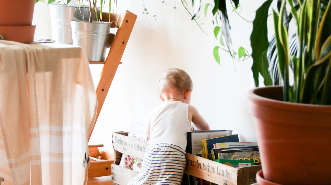 Transform Your Space Budget-Friendly Home Organization Hacks You Need to Try