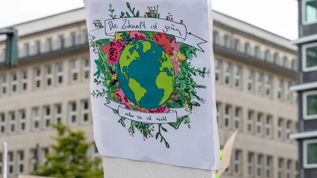 Eco-Friendly Organizing Solutions for a Greener Home