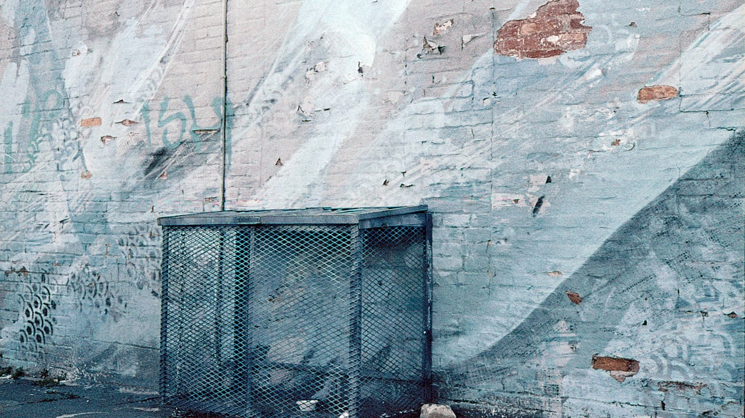 The Many Benefits of Using Storage Bins for a Clutter-Free Space