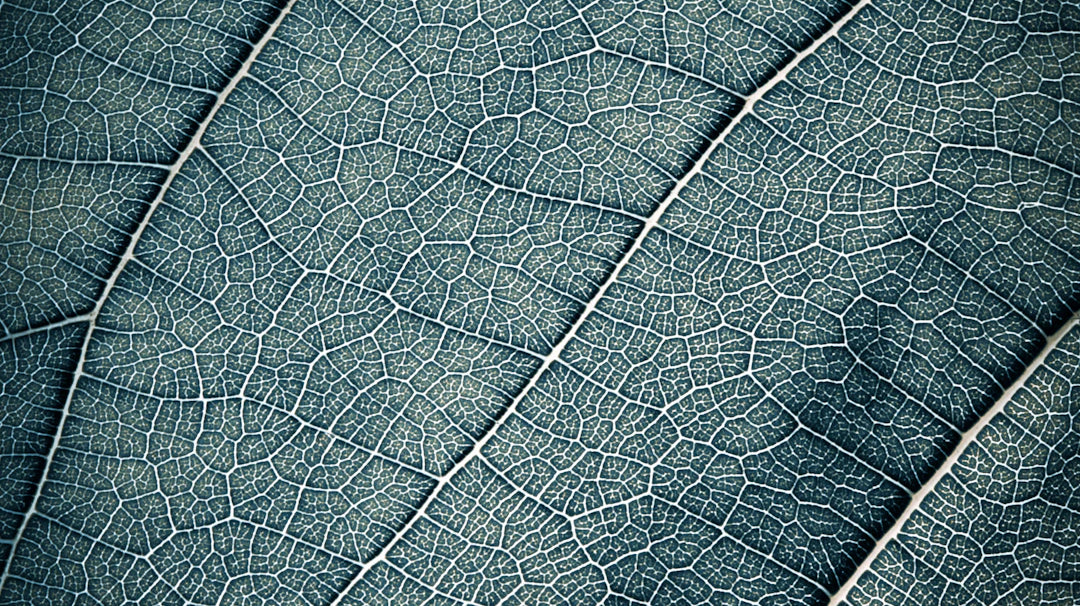 Mastering Hobbies and Collections with Practical Tips