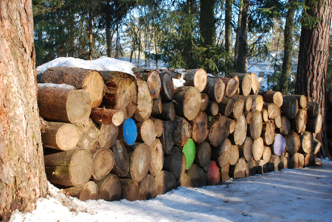 Smart Strategies for Storing Seasonal Items Efficiently
