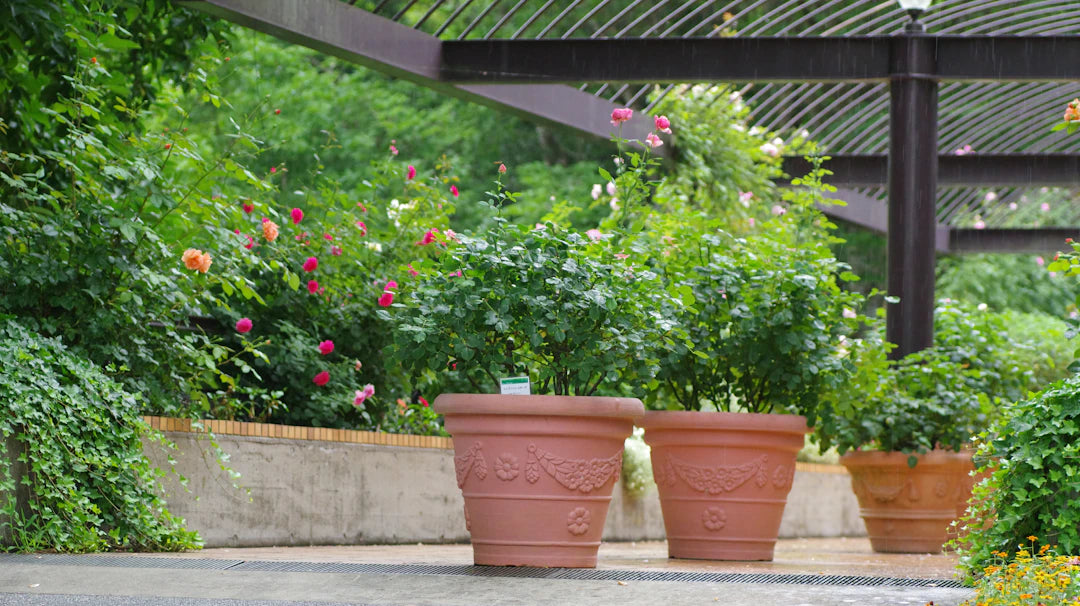 Creative Ways to Organize Your Gardening Supplies