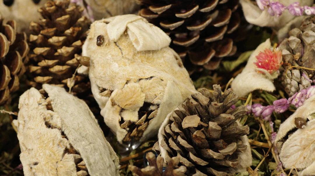 Master the Art of Seasonal Organization Winter to Summer