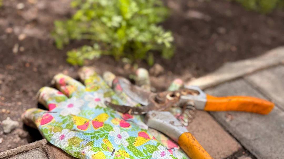 Transform Your Garden Smart Ways to Organize Supplies