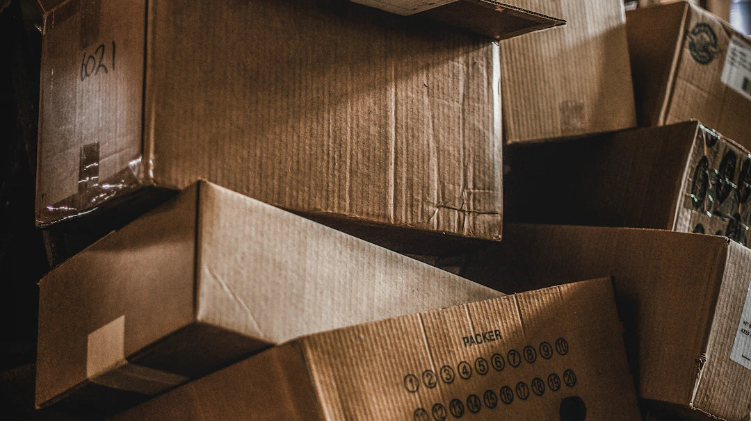 Mastering Seasonal Storage Keep It or Toss It