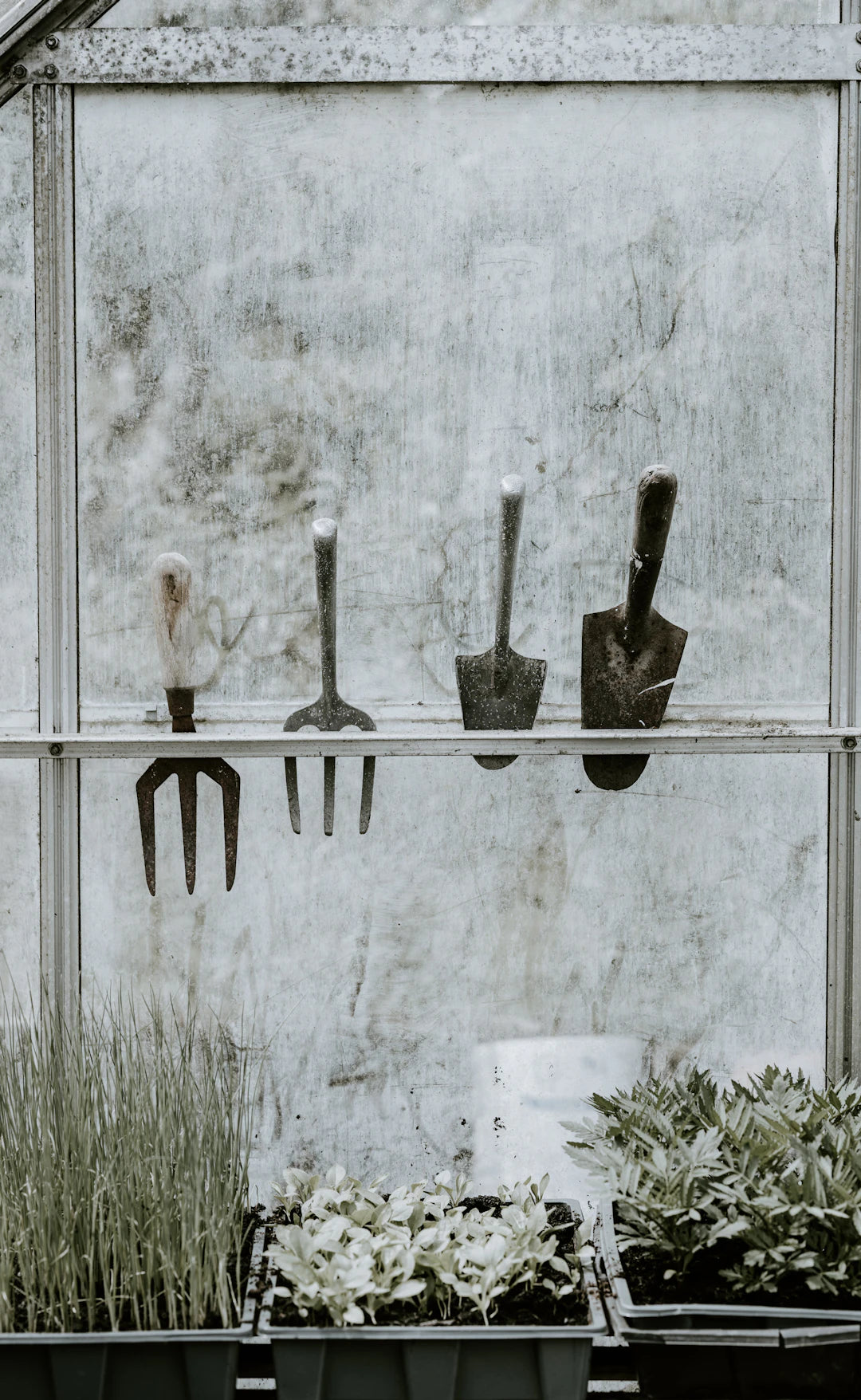 Smart Wall-Mounted Organizers for Lawn and Garden Tools