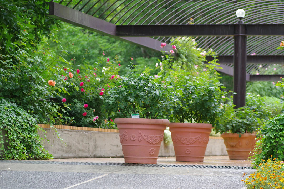 Creative Ways to Organize Your Gardening Supplies