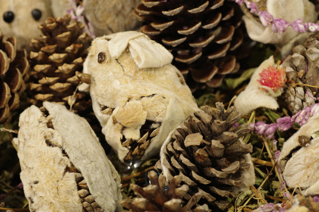 Master the Art of Seasonal Organization Winter to Summer