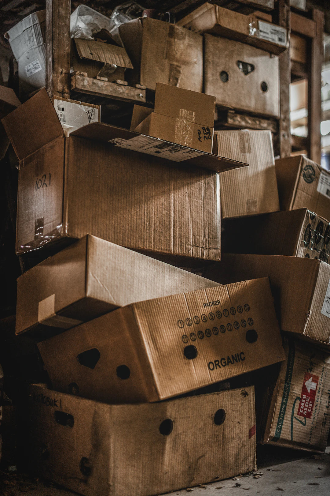 Mastering Seasonal Storage Keep It or Toss It